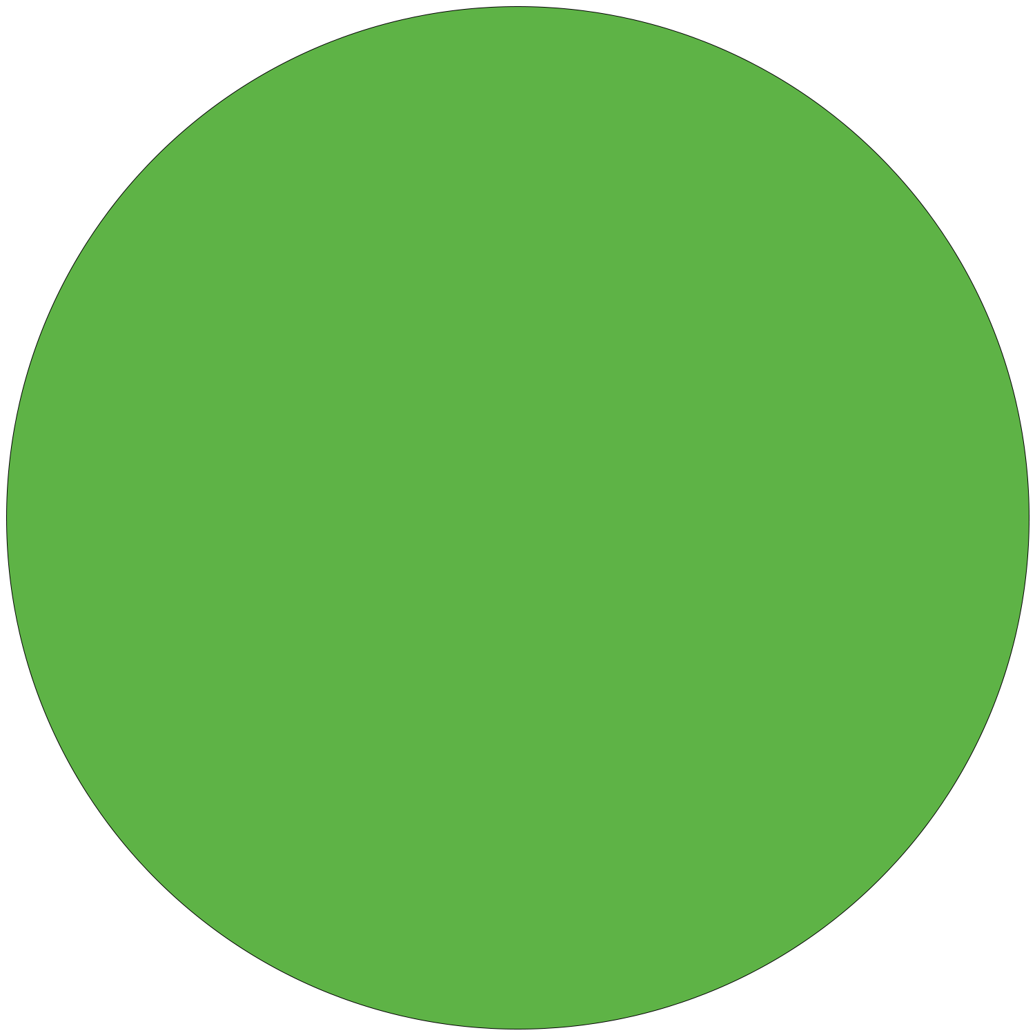 Primary Green Circle

