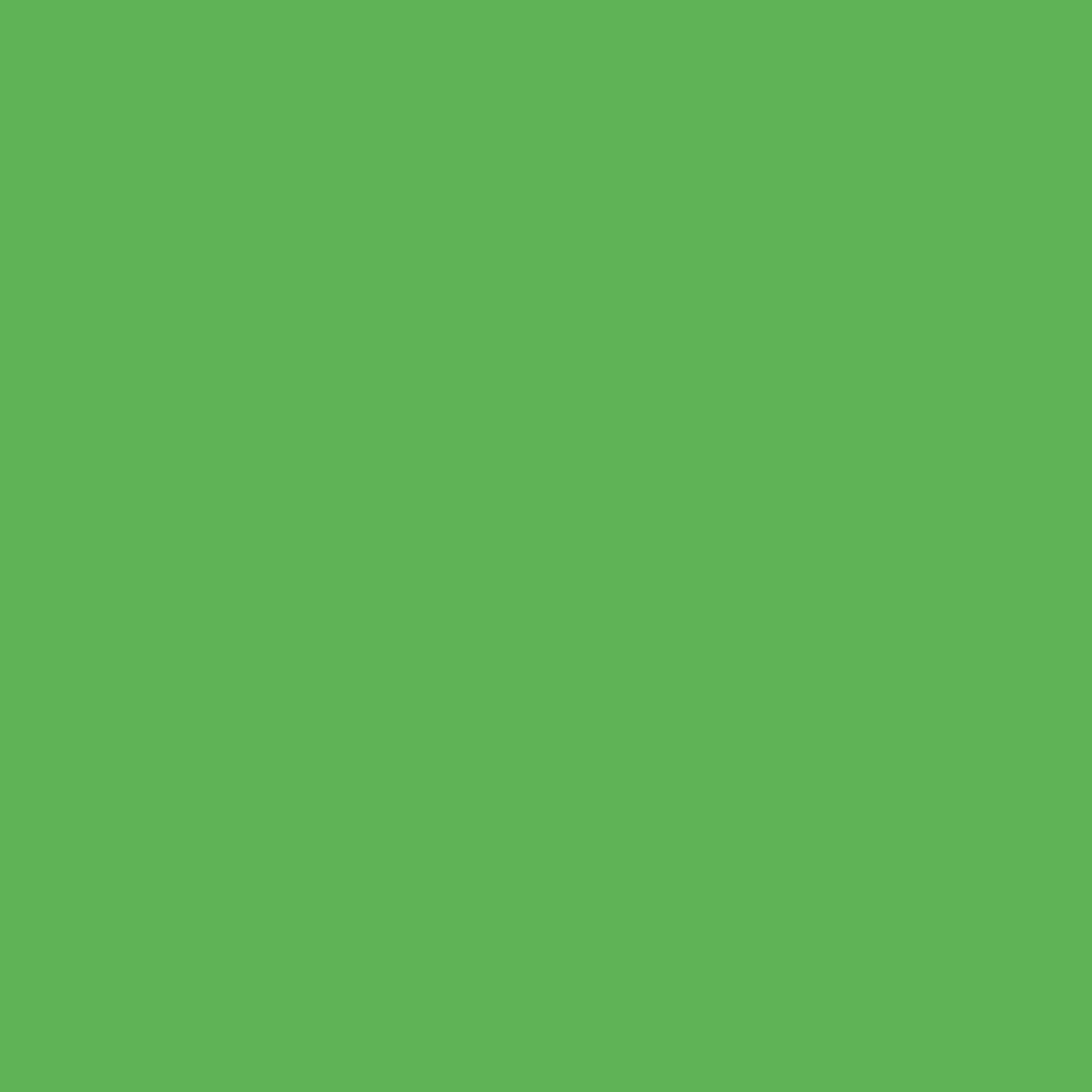 Primary Green background