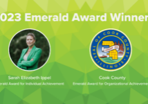 Emerald Award graphic