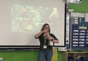 Mentor Theresa Johnston presented to each of the Pleasantdale kindergarten classes about composting.